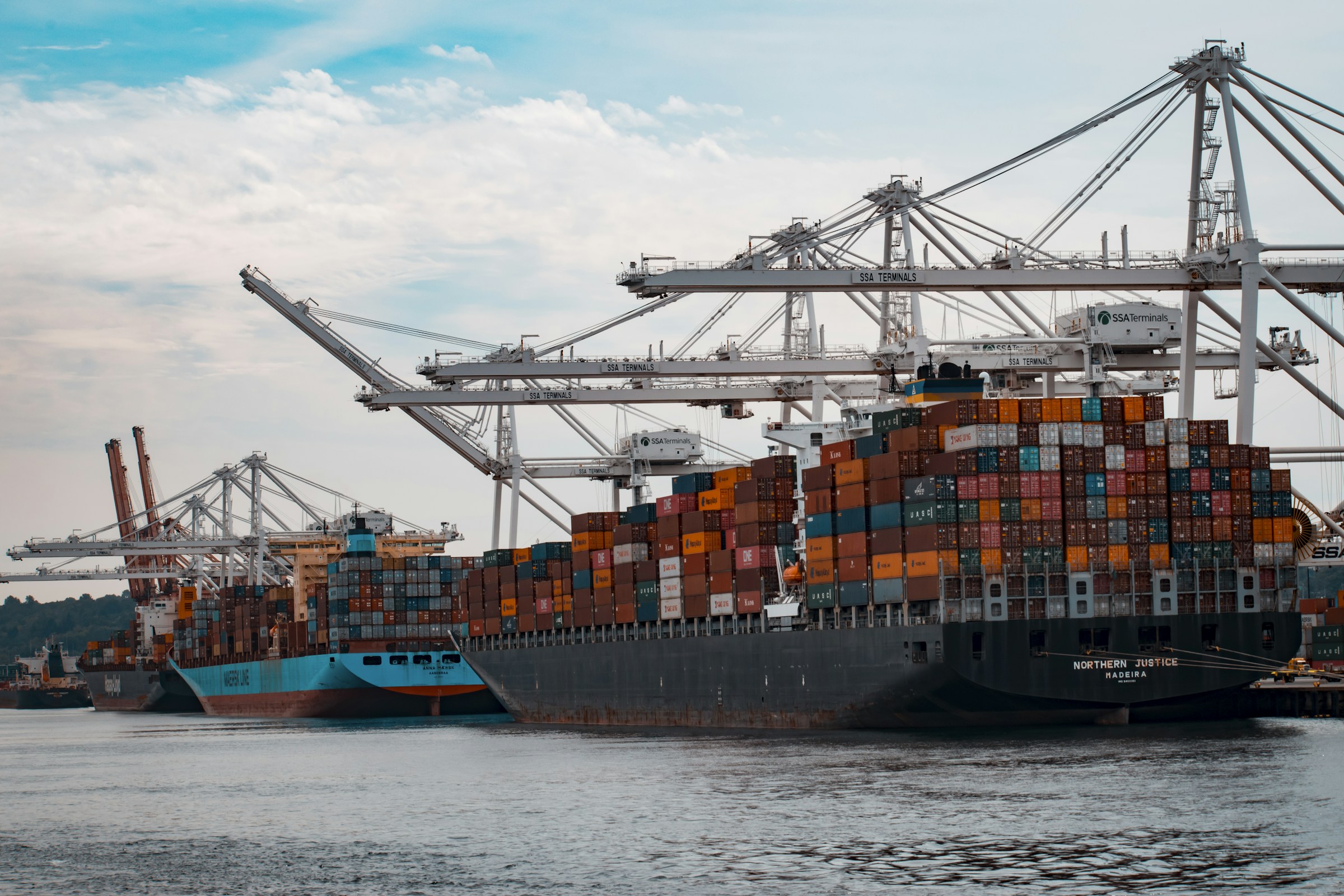 Container ship and freight handling cranes at a working cargo port